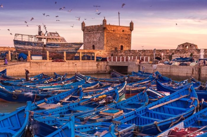 Day tour to Essaouira