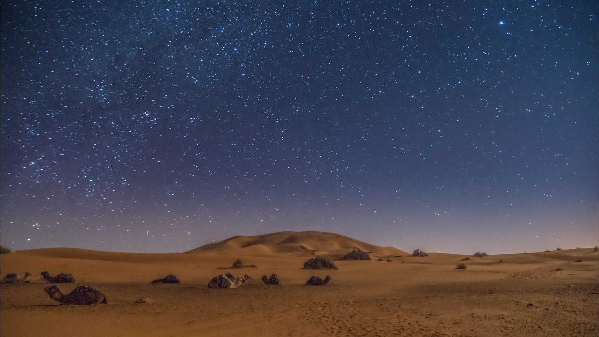 moroccan desert